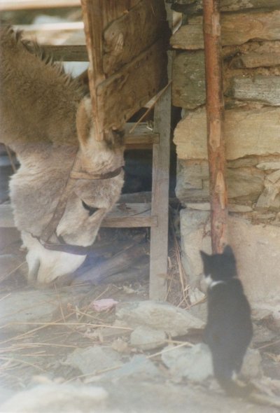 L'Auberge du coin - 1988